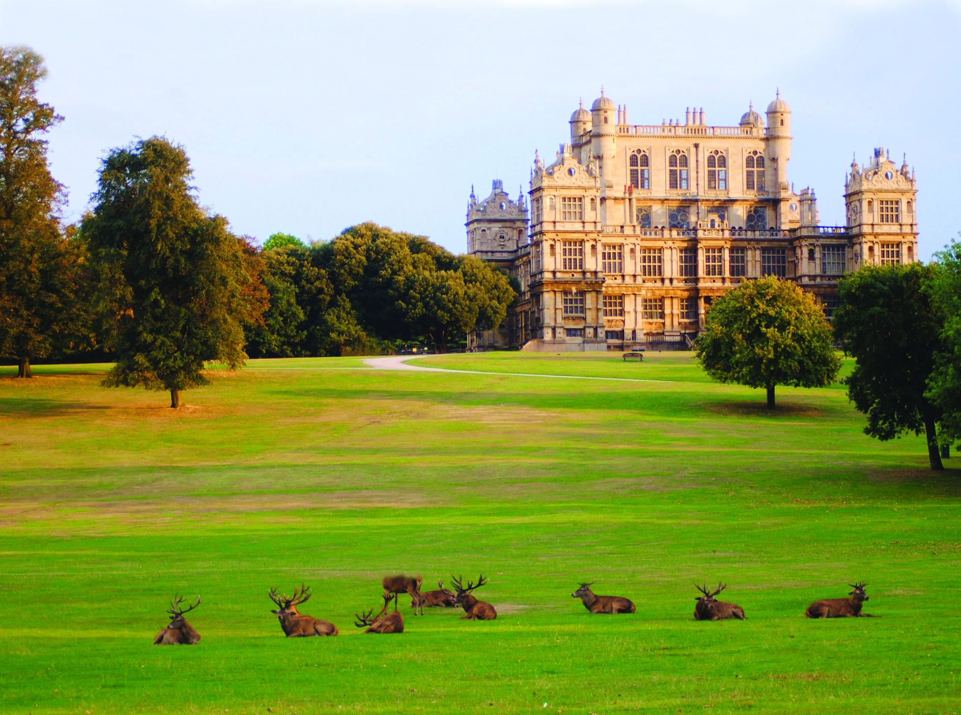 Credit-Gerry-Molumby